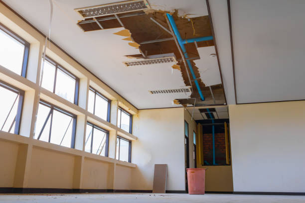 Best Ceiling water damage repair  in Everman, TX