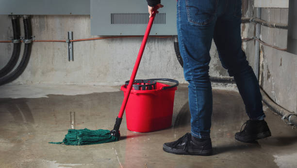 Best Water damage restoration mold remediation  in Everman, TX