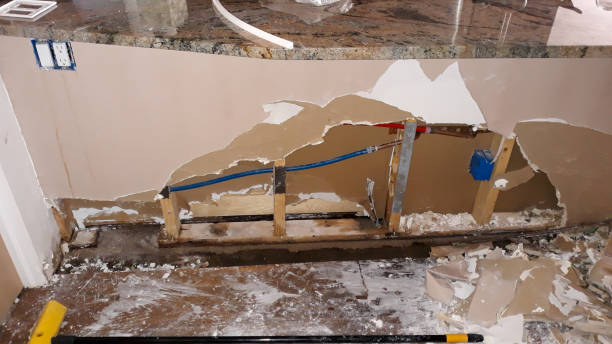 Best Sewage cleanup and water damage restoration  in Everman, TX