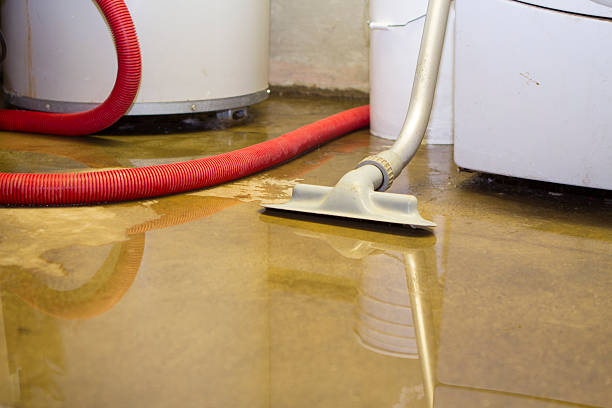 Best Water damage restoration near me  in Everman, TX