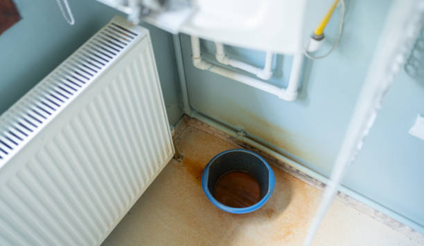 Best Flood damage cleanup  in Everman, TX