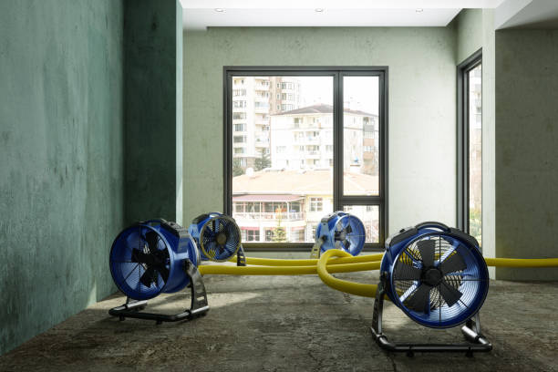 Best Emergency water damage restoration  in Everman, TX